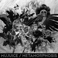 Mujuice - Metamorphosis