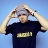 Слушать DJ Shadow