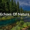 Слушать Echoes Of Nature